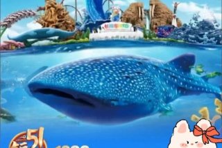 悠闲生活从海洋寻宝开始笔趣阁（悠闲海洋社）