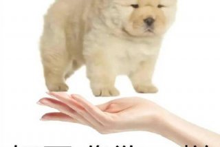 表情包生活日常 生活常用表情包