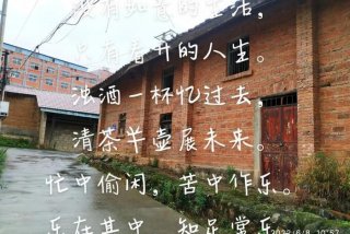 生活很平淡却事事不尽人意，生活很平淡却事事不尽人意的句子