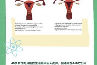 女生性生活频繁对身体伤害吗、40岁夫妻多久一次生活正常呢