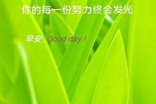 正能量的生活语录（正能量的生活句子）