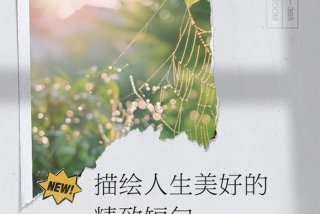 关于生活的短句标题，关于生活的好标题