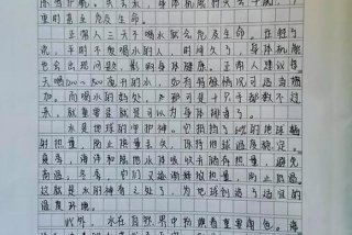 我的生活道理作文，我的生活之道