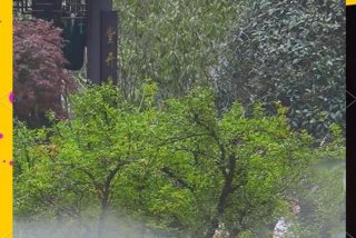 极致的生活 极致的生活体验