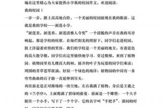 我的校园生活作文400到500字 - 我的校园生活作文300字小学生作文