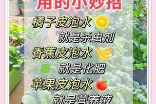 生活小妙招用（生活小妙招用什么养花）