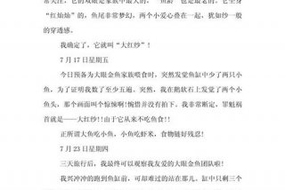 观察生活日记600字（观察生活作文600字左右）