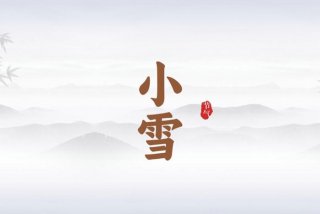 小雪的生活小课堂、播放播放小雪