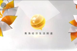 青海生活频道在线观看免费高清；青海生活频道直播回放在哪里找