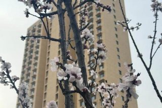 生活一瞥 - 生活一瞥的意思