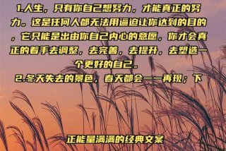 生活教会了我所有句子 生活教会了我文案