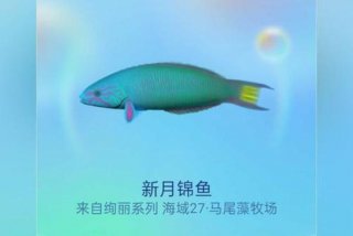 悠闲生活从海洋寻宝开始钱羽顶点 - 悠闲生活 从海洋寻宝开始