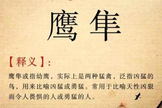 鹰的生活方式文字描述，鹰主要生活在哪里