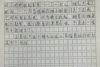 生活小镜头作文五年级 - 生活小镜头400