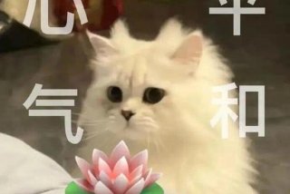 生活表情包沙雕 - 生活表情包沙雕版