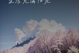 阳光生活的唯美句子；阳光生活的唯美句子摘抄