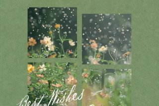 开心快乐的生活文案、开心快乐的生活文案图片