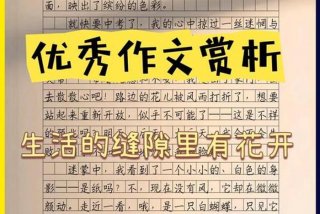 生活与生命的区别 - 生活与生命的区别作文