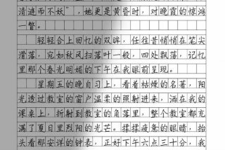 发现生活中的美素材；发现生活中的美800