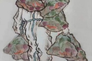 家里蹲生活下载（家里蹲出自哪里）