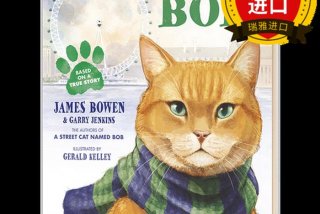 流浪猫的英文；流浪猫的英文名字