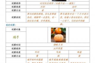 生活观察记录与分析、生活观察记录分析与措施三年级语文