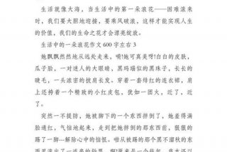 生活的道路 浪花 - 生活里的浪花600字