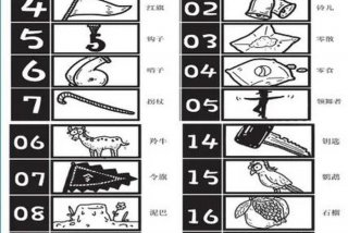生活中的分类编码和顺序编码，收集生活中常见的编码