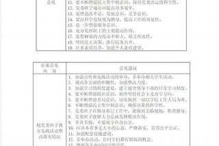 对党委班子成员意见建议（对党委班子成员意见建议范文）