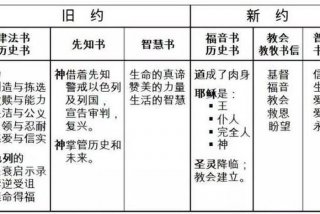 精读圣经电脑版2024最新版本免费下载；精读圣经电脑版使用方法
