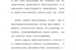 生活与智慧的碰撞；生活的智慧议论文800字