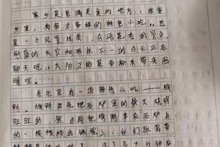 生活是美好的作文（生活是美好的作文开头）