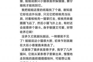 流浪猫的作文，帮助流浪猫的作文