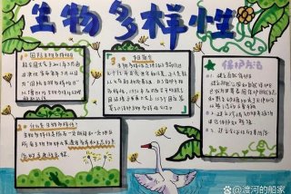 生物与生活手抄报内容（生物手抄报生物与环境）