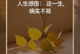 生活感悟的图片配图（生活感悟的图片配图大全）