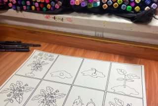 茄子生长过程步骤图（茄子生长过程步骤图片）