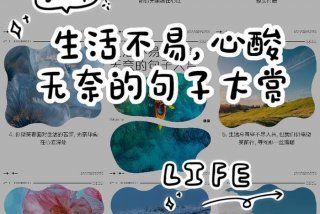 搜一下生活 - 搜一下生活不易的句子