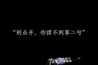 生活不止有苟且还有妥协和委屈，生活不只是苟且,还有妥协,将就,是什么意思