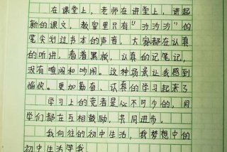 小学生活总结,初中生活的憧憬（小学生活总结,初中生活的憧憬怎么写）