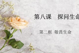 敬畏生命ppt课件免费（敬畏生命ppt课件免费下载）