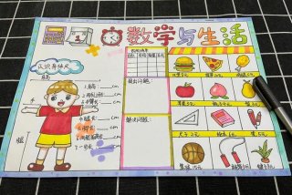 生活中的分类数学小报 生活中的分类图片小学生
