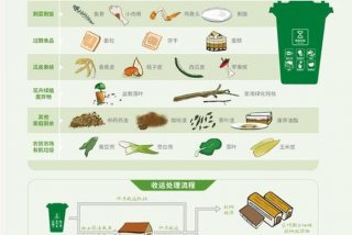 生活垃圾分为几大类几小类、生活垃圾一共分为几大类