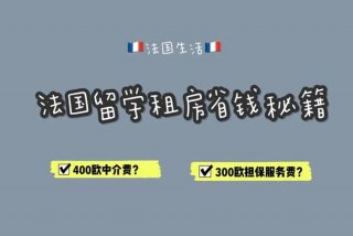 在法国生活的娜娜；您在法国的生活来源如何填写