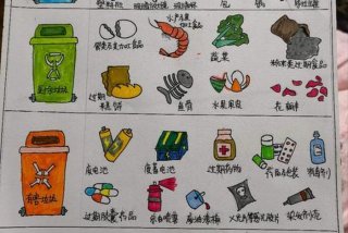 生活中的分类事件 生活中分类的事情