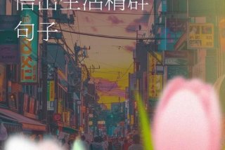 生活鸡零狗碎下一句经典语录 生活的鸡零狗碎让人没了光芒 但我始终相信我会更好