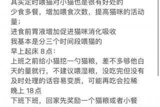 爱猫生活游戏 - 爱猫生活游戏中怎么给猫喂食