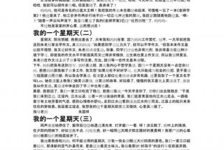 我的周末生活作文600字，9999999999万亿字作文