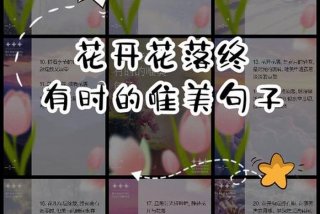 装点生活的鲜花 - 鲜花装点生活的每句