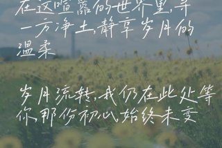 生活很平淡偶尔的小浪花、平淡生活中的小浪漫说说