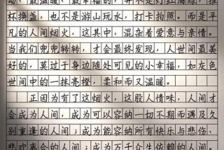 生活要烟火与清欢都有作文800字；生活需要烟火作文600字
